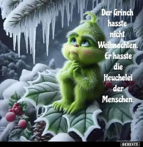 Der Grinch hasste nicht Weihnachten... - Lustige Bilder | DEBESTE.de