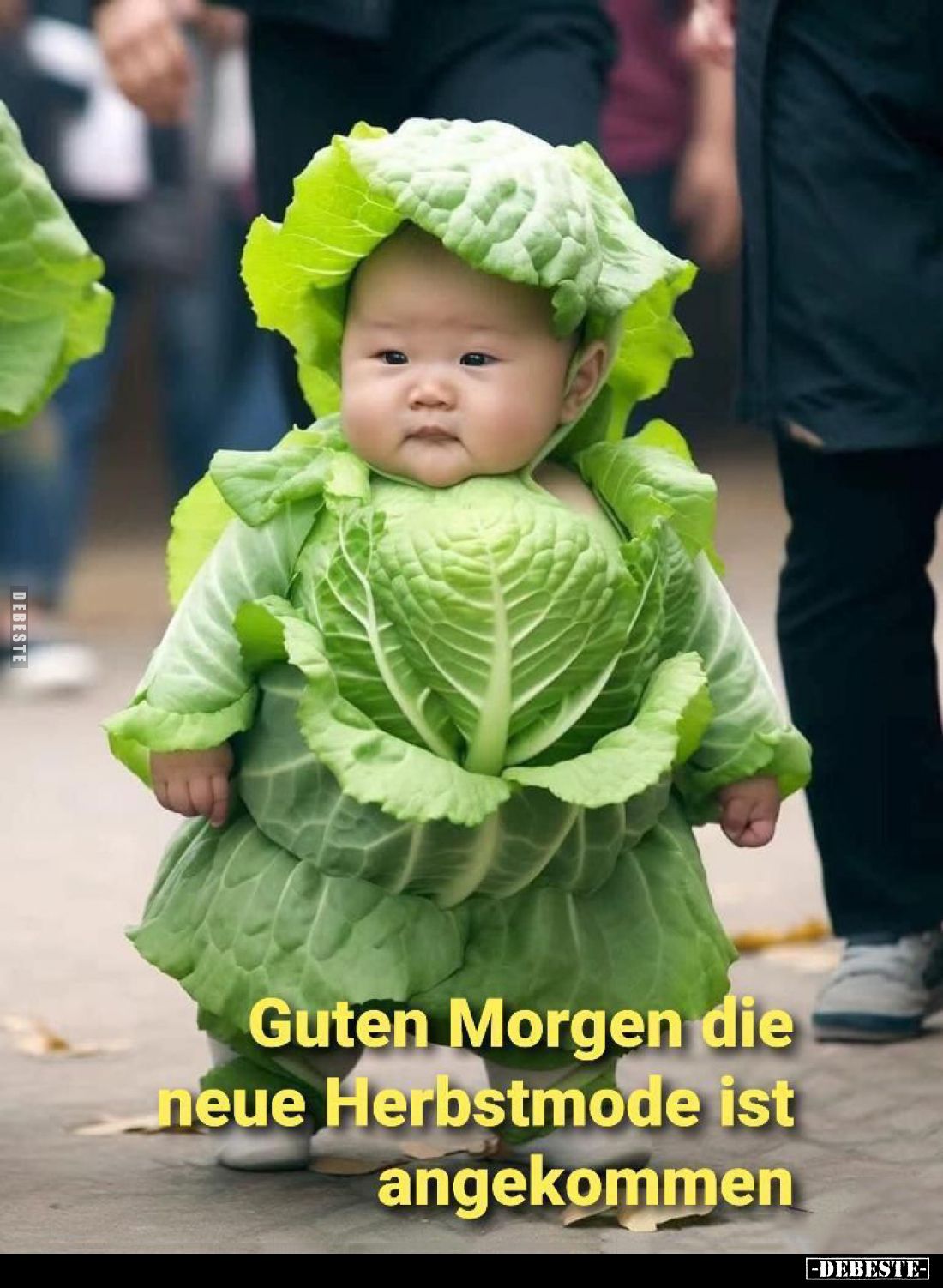 Guten Morgen die neue Herbstmode ist angekommen.