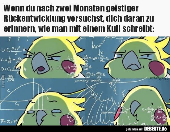 Wenn du nach zwei Monaten geistiger Rückentwicklung..