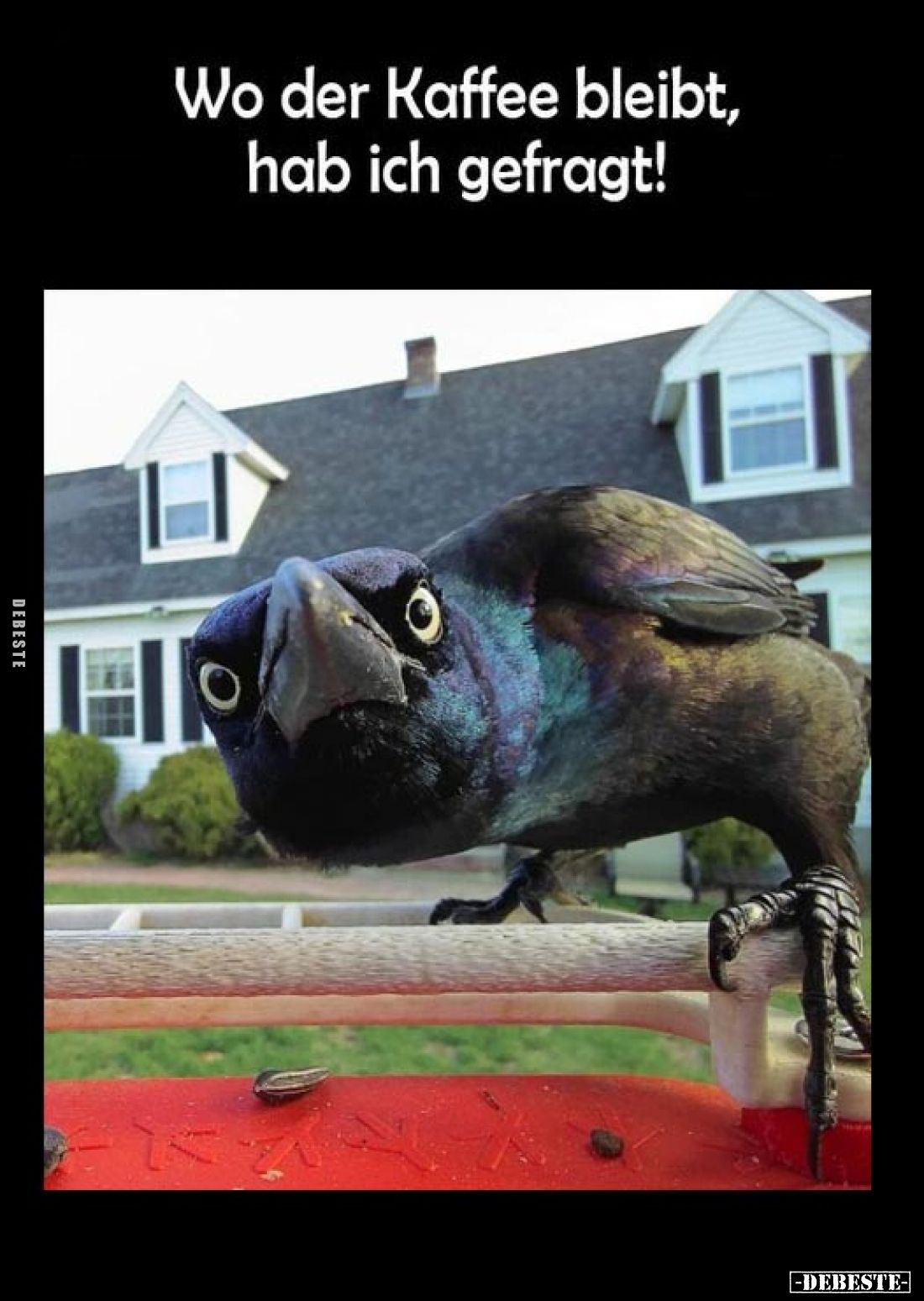 Wo der Kaffee bleibt, hab ich gefragt!