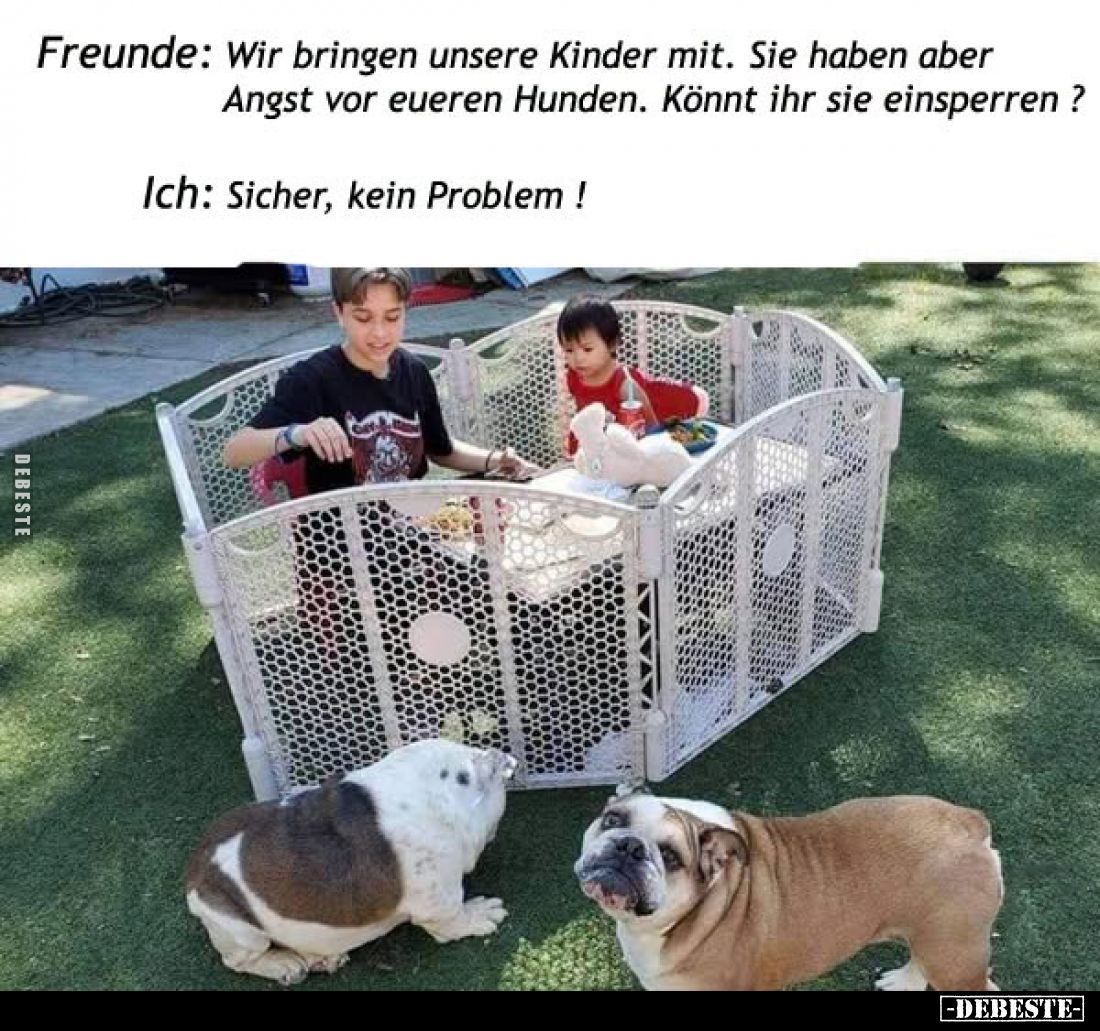 Freunde: Wir bringen unsere Kinder mit. Sie haben aber Angst vor eueren Hunden. Könnt ihr sie einsperren?
Ich: Sicher, kein ...