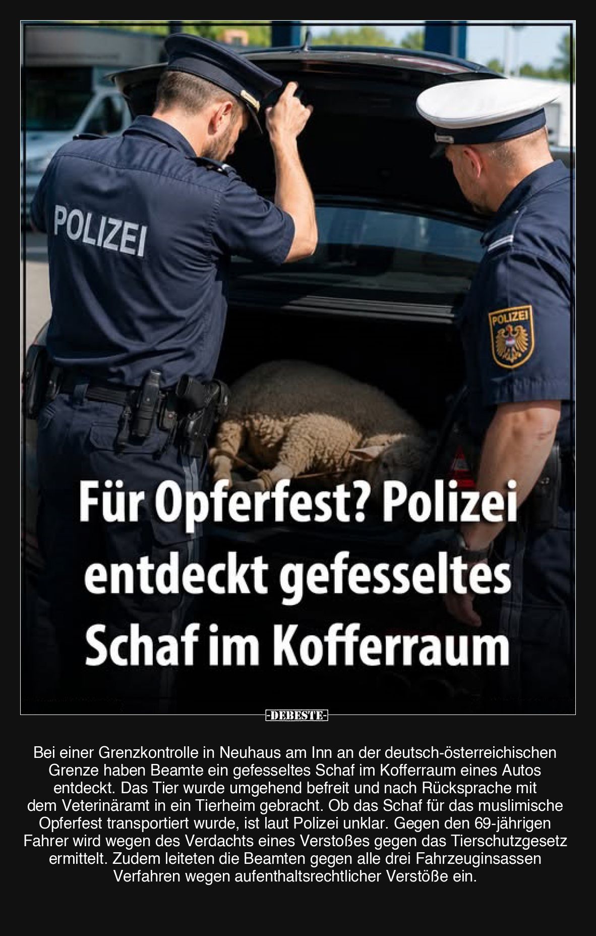 Für Opferfest? Polizei entdeckt gefesseltes Schaf im Kofferraum
-
Bei einer Grenzkontrolle in Neuhaus am Inn an der deutsch...