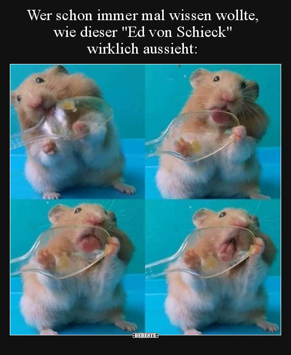 Wer schon immer mal wissen wollte, wie dieser "Ed von Schieck" wirklich aussieht: