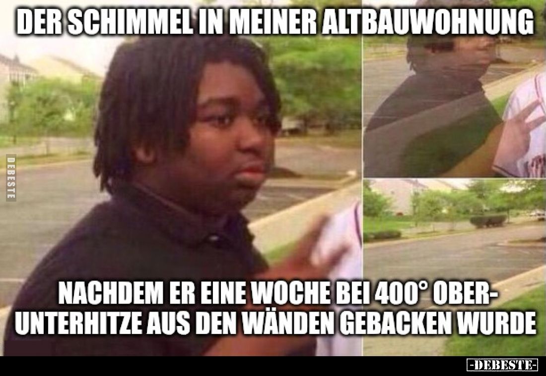 Der Schimmel in meiner Altbauwohnung -
nachdem er eine Woche bei 400° Ober-Unterhitze aus den Wänden gebacken wurde