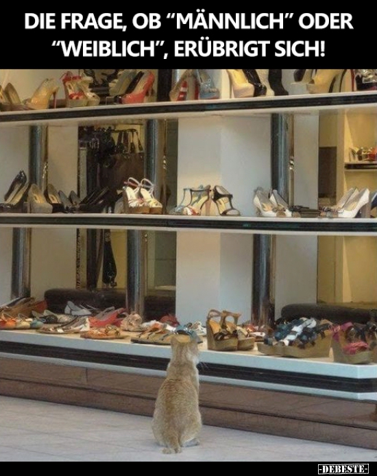 Die Frage, ob "männlich" oder "weiblich", erübrigt sich..