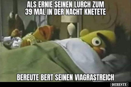 Als Ernie seinen Lurch zum 39 mal in der Nacht.. - Lustige Bilder | DEBESTE.de