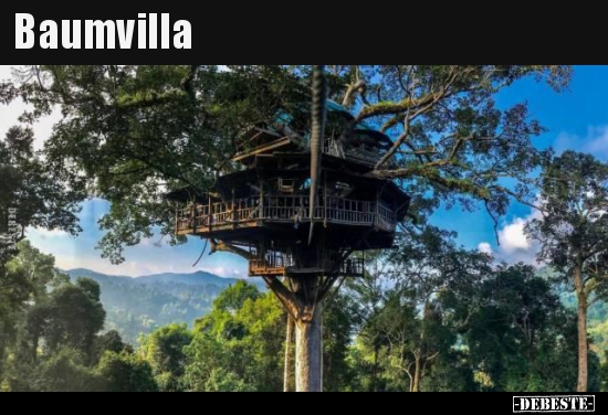 Baumvilla..