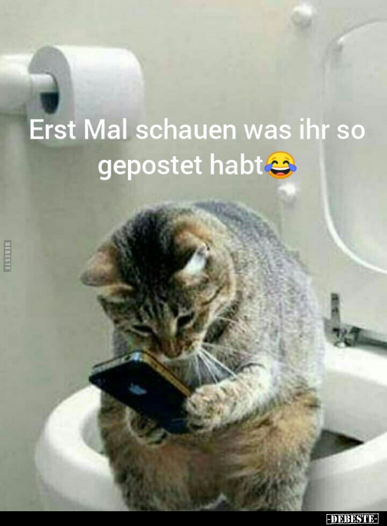 Erst Mal schauen was ihr so gepostet habt..