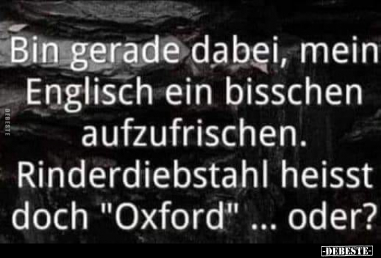 Bin gerade dabei, mein Englisch ein bisschen aufzufrischen... - Lustige Bilder | DEBESTE.de