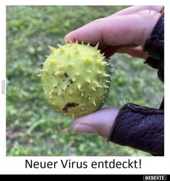 Neuer Virus entdeckt!.. - Lustige Bilder | DEBESTE.de