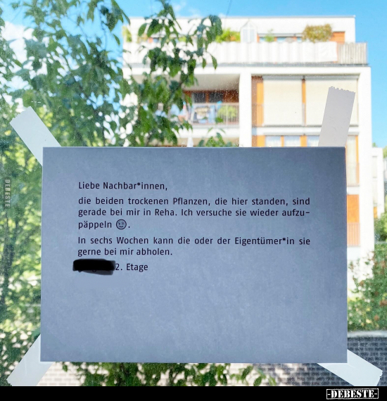 Liebe Nachbar*innen, die beiden trockenen Pflanzen, die.. - Lustige Bilder | DEBESTE.de