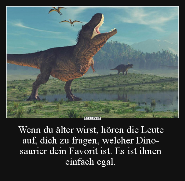Wenn du älter wirst, hören die Leute auf, dich zu fragen..