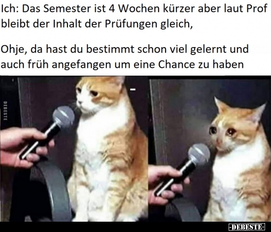 Ich: Das Semester ist 4 Wochen kürzer aber laut Prof..
