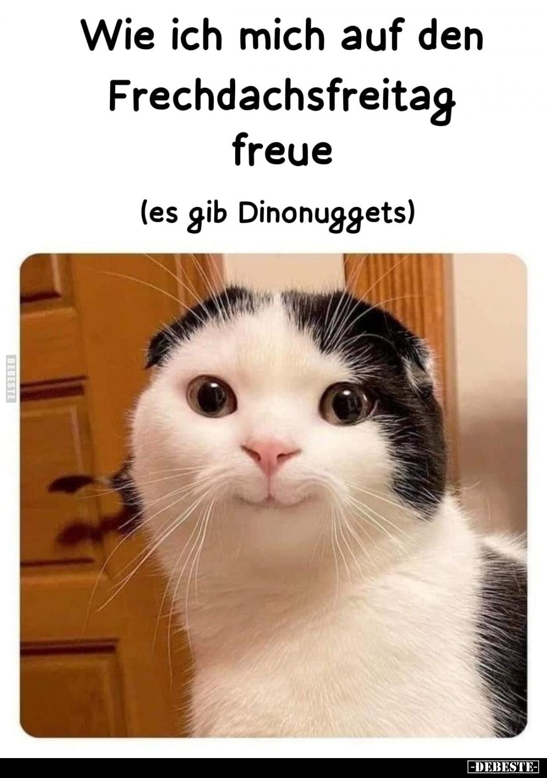 Wie ich mich auf den
Frechdachsfraitag
freue

(es gib Dinonuggets)