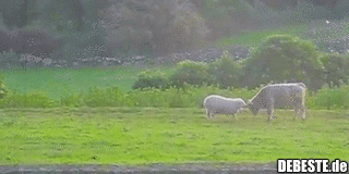 Mach dich auf was gefasst!