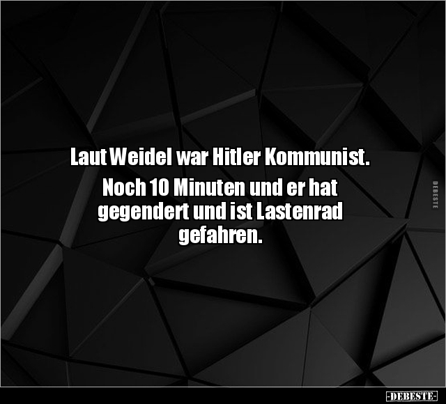 Laut Weidel war Hitler Kommunist.. - Lustige Bilder | DEBESTE.de