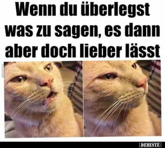 Wenn du überlegst was zu sagen, es dann aber doch lieber..