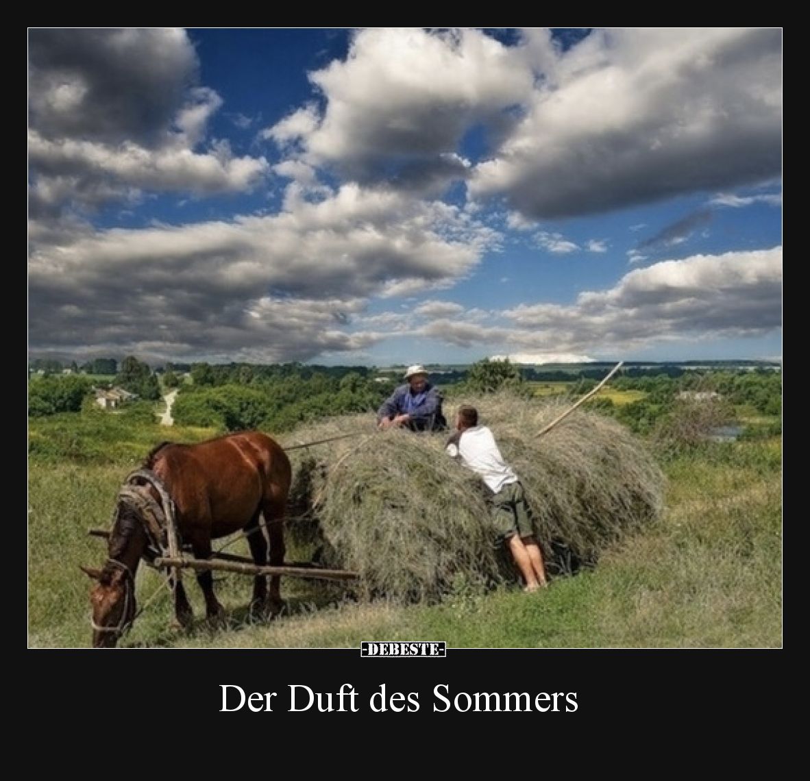 Der Duft des Sommers