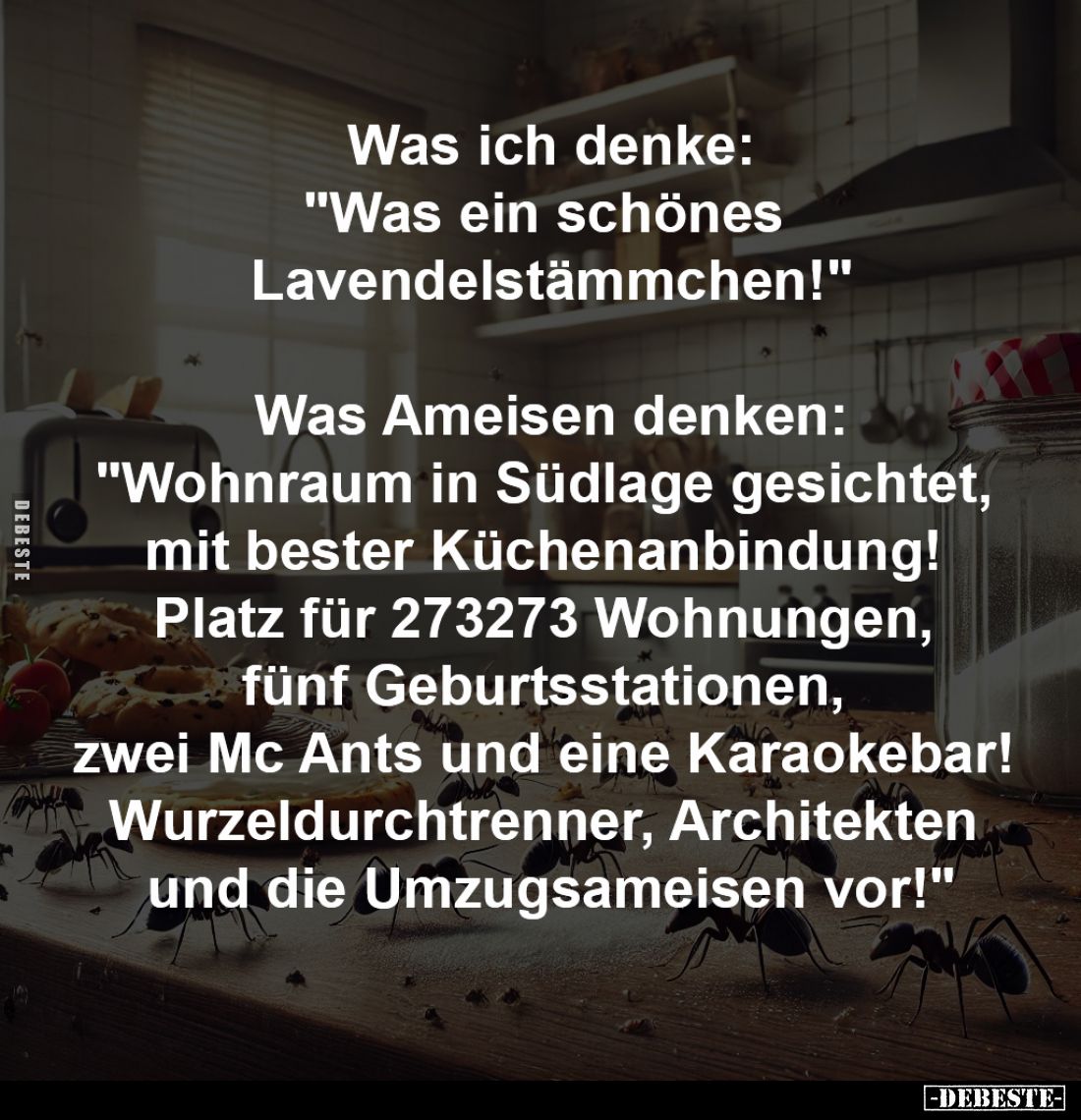 Was ich denke:
"Was ein schönes
Lavendelstämmchen!"
Was Ameisen denken:
"Wohnraum in Südlage gesichtet,...