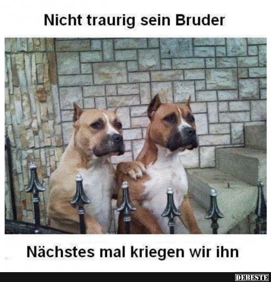 Nicht traurig sein Bruder.. - Lustige Bilder | DEBESTE.de