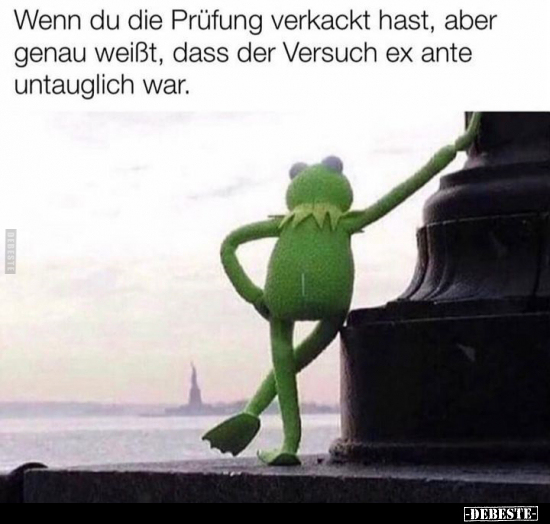 Wenn du die Prüfung verka*ckt hast, aber genau weißt, dass.. - Lustige Bilder | DEBESTE.de