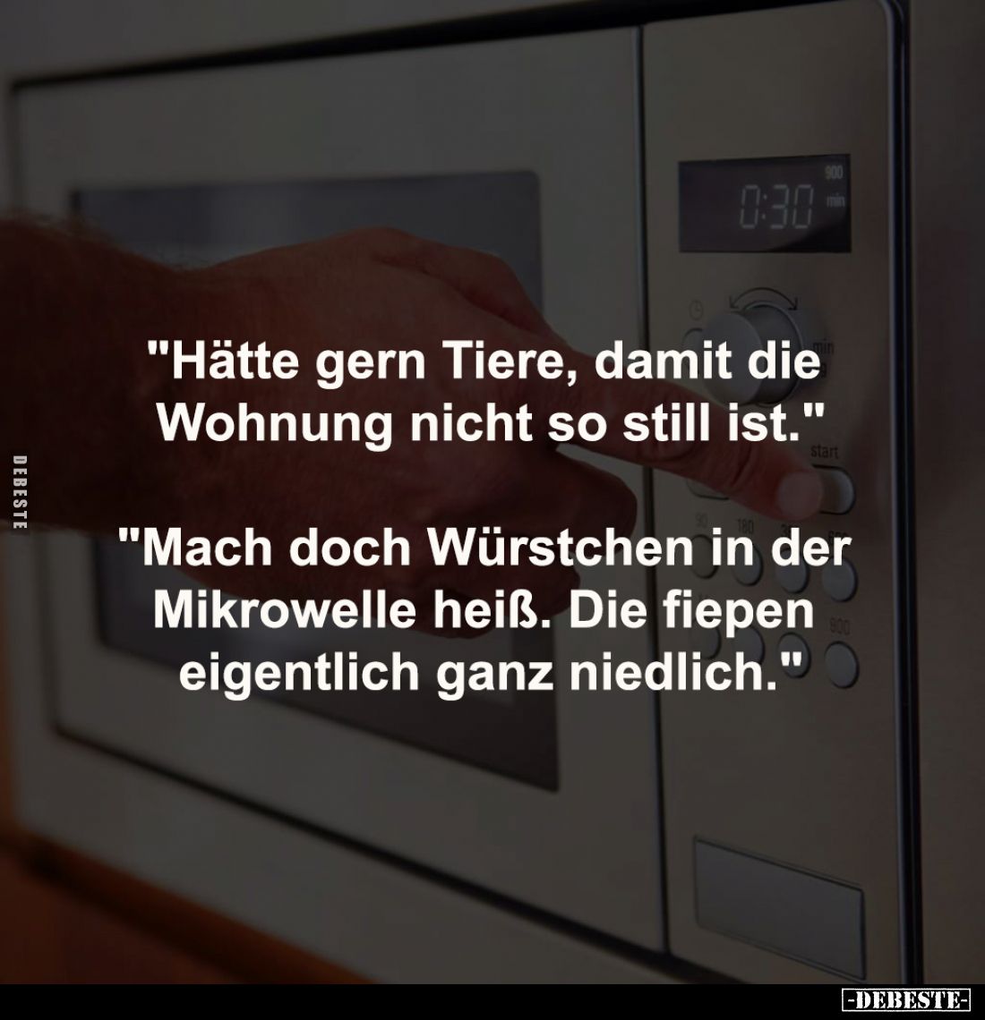 "Hätte gern Tiere, damit die 
Wohnung nicht so still ist."
-
"Mach doch Würstchen in der 
Mikrowelle heiß....