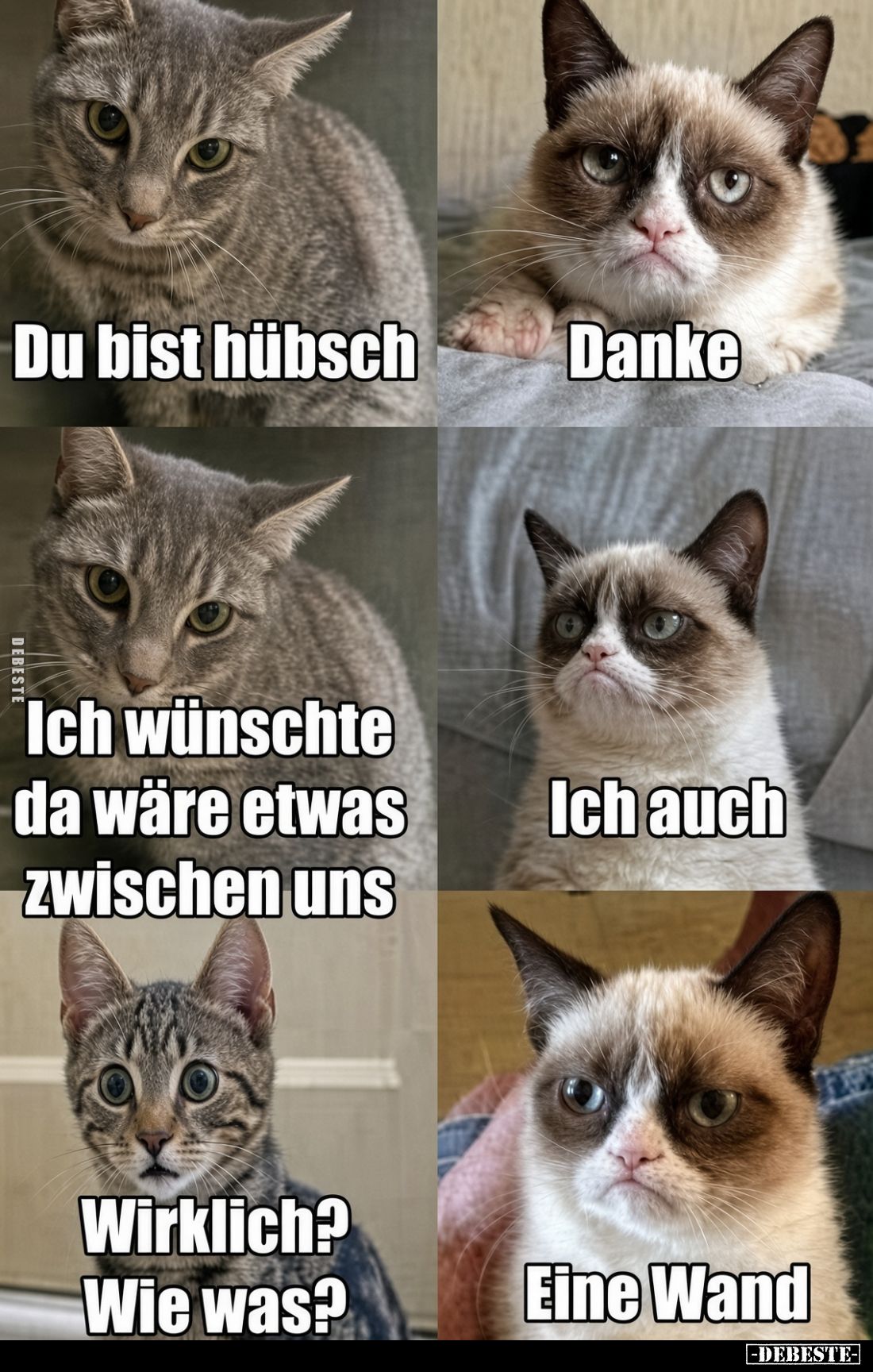 Du bist hübsch.
Danke.
Ich wünschte da wäre etwas zwischen uns.
Ich auch.
Wirklich? Wie was?
Eine Wand.