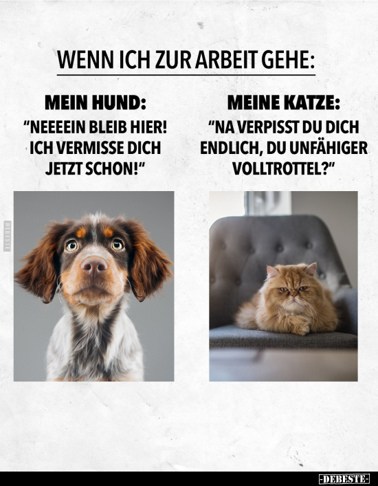 Wenn ich zur Arbeit gehe: - Lustige Bilder | DEBESTE.de