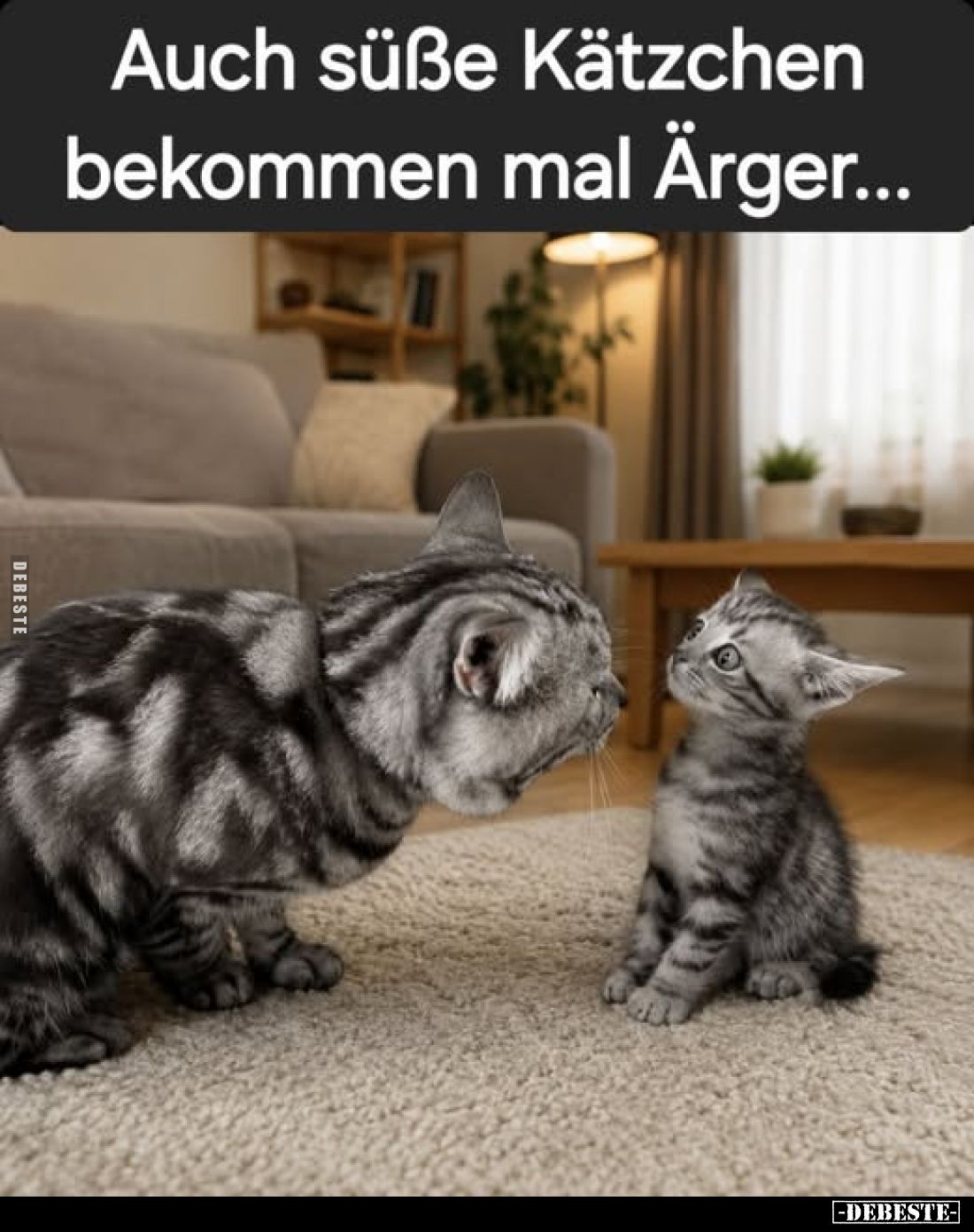 Auch süße Kätzchen bekommen mal Ärger...