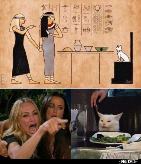  - Lustige Bilder | DEBESTE.de