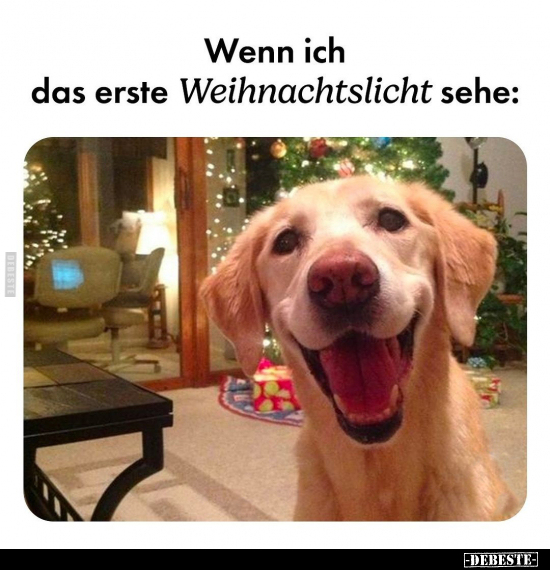 Wenn ich das erste Weihnachtslicht sehe.. - Lustige Bilder | DEBESTE.de