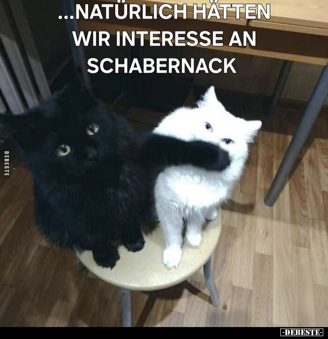 Natürlich hätten wir Interesse an Schabernack.