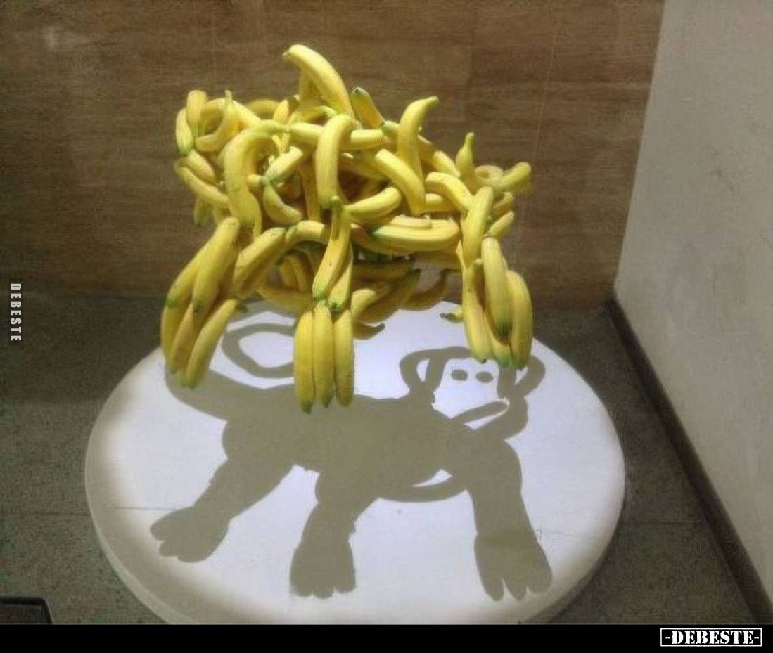  - Lustige Bilder | DEBESTE.de