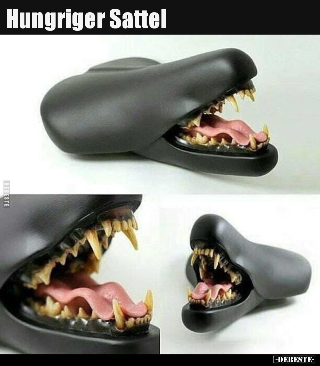 Hungriger Sattel