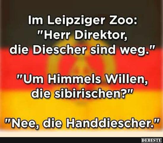 Im Leipziger Zoo...