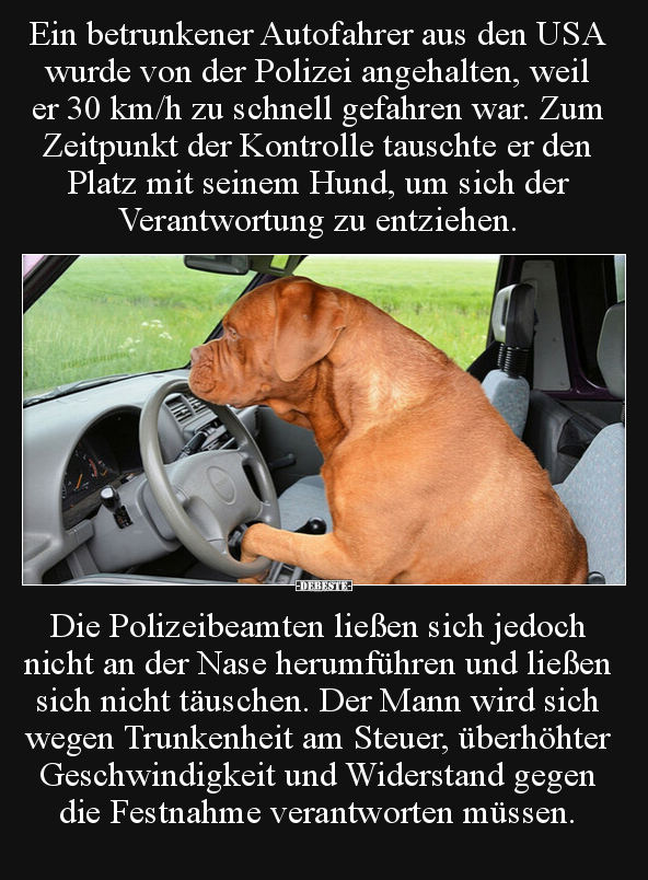 Ein betrunkener Autofahrer aus den USA wurde von der.. - Lustige Bilder | DEBESTE.de
