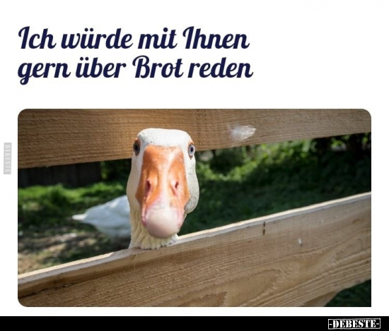 Ich würde mit Ihnen gern über Brot reden.. - Lustige Bilder | DEBESTE.de