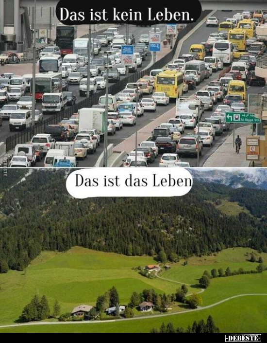 Das ist kein Leben. - Das ist das Leben... - Lustige Bilder | DEBESTE.de