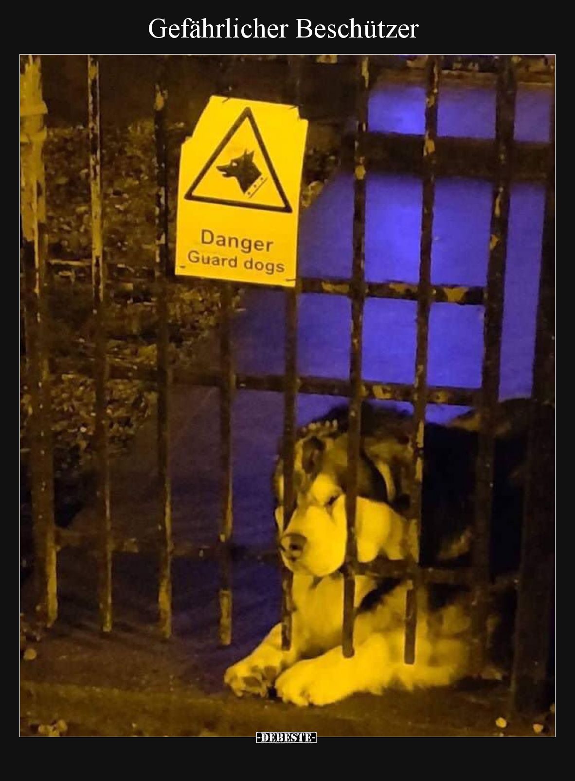 Gefährlicher Beschützer