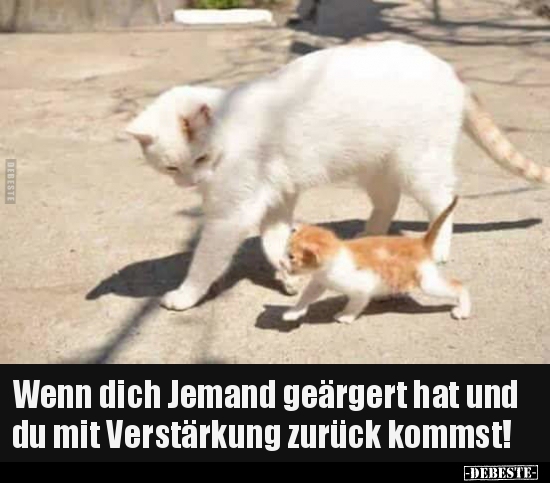 Wenn dich Jemand geärgert hat und du mit Verstärkung..
