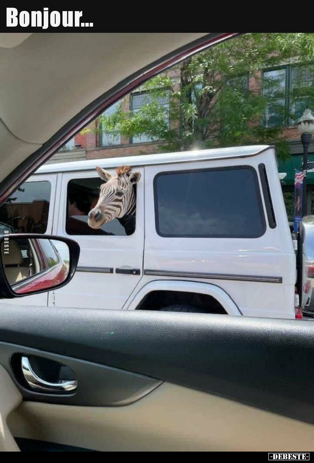Bonjour...