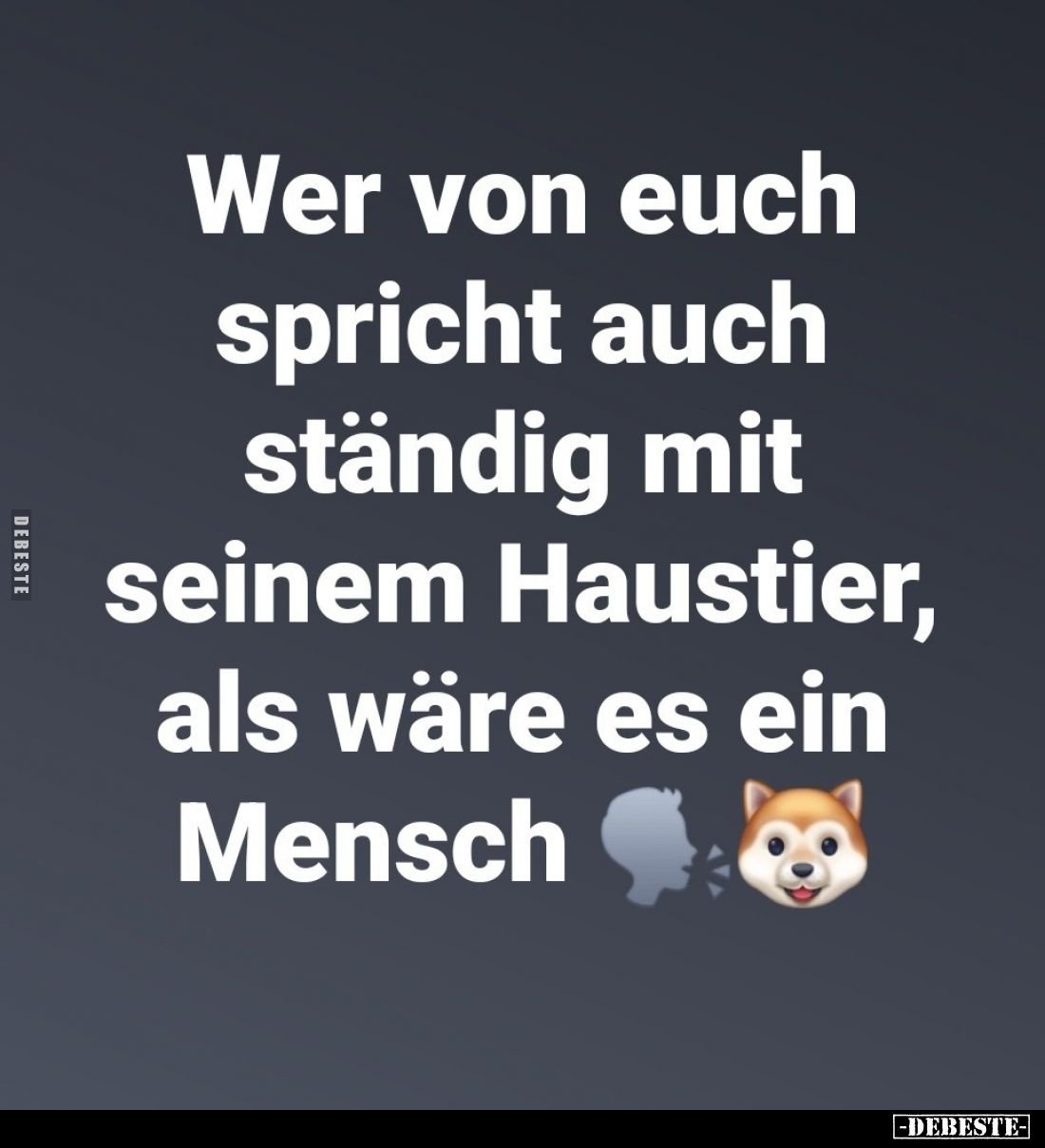 Wer von euch spricht auch ständig mit seinem Haustier, als wäre es ein Mensch