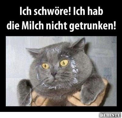 Ich schwöre!