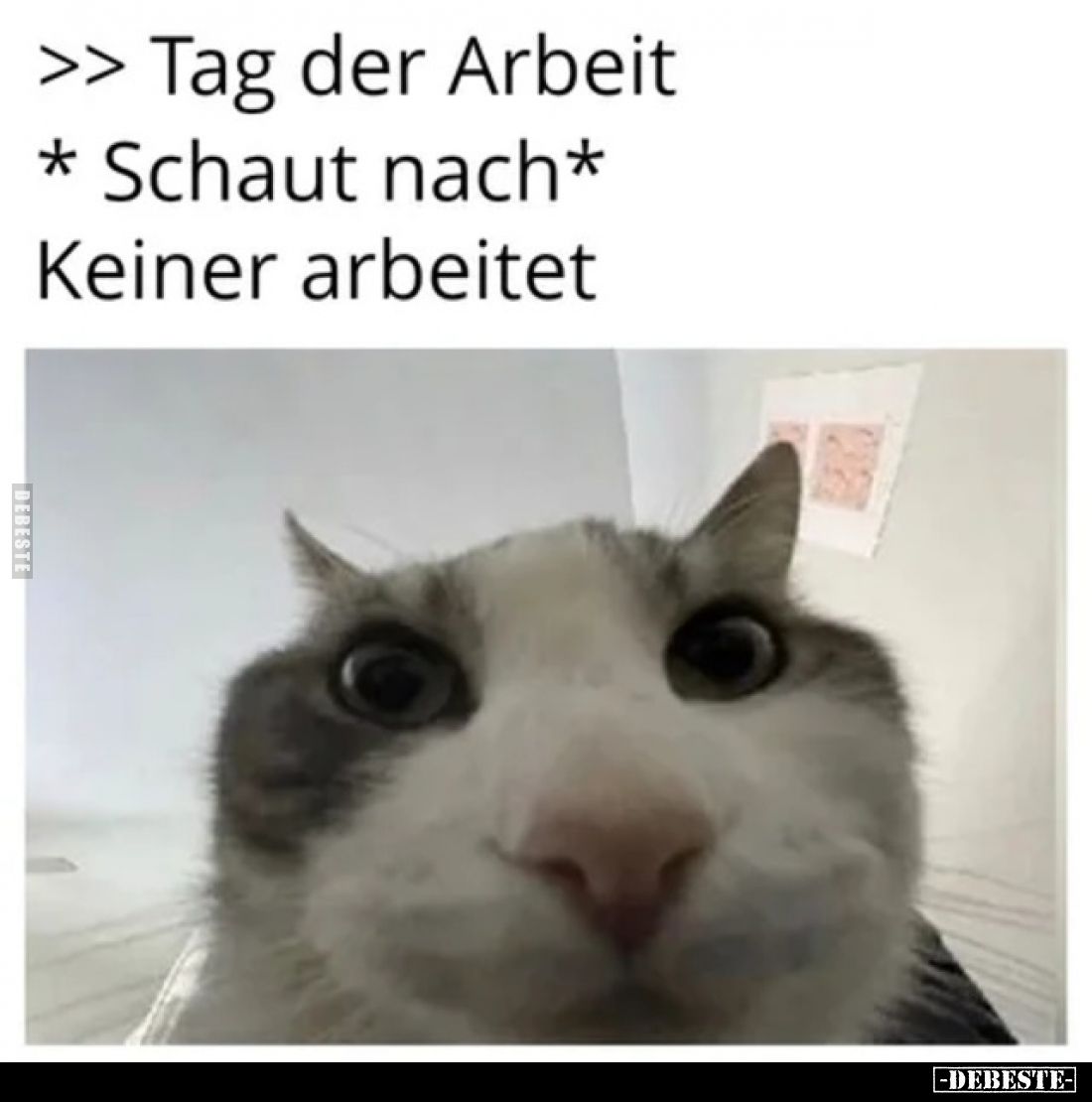 >> Tag der Arbeit
* Schaut nach*
Keiner arbeitet