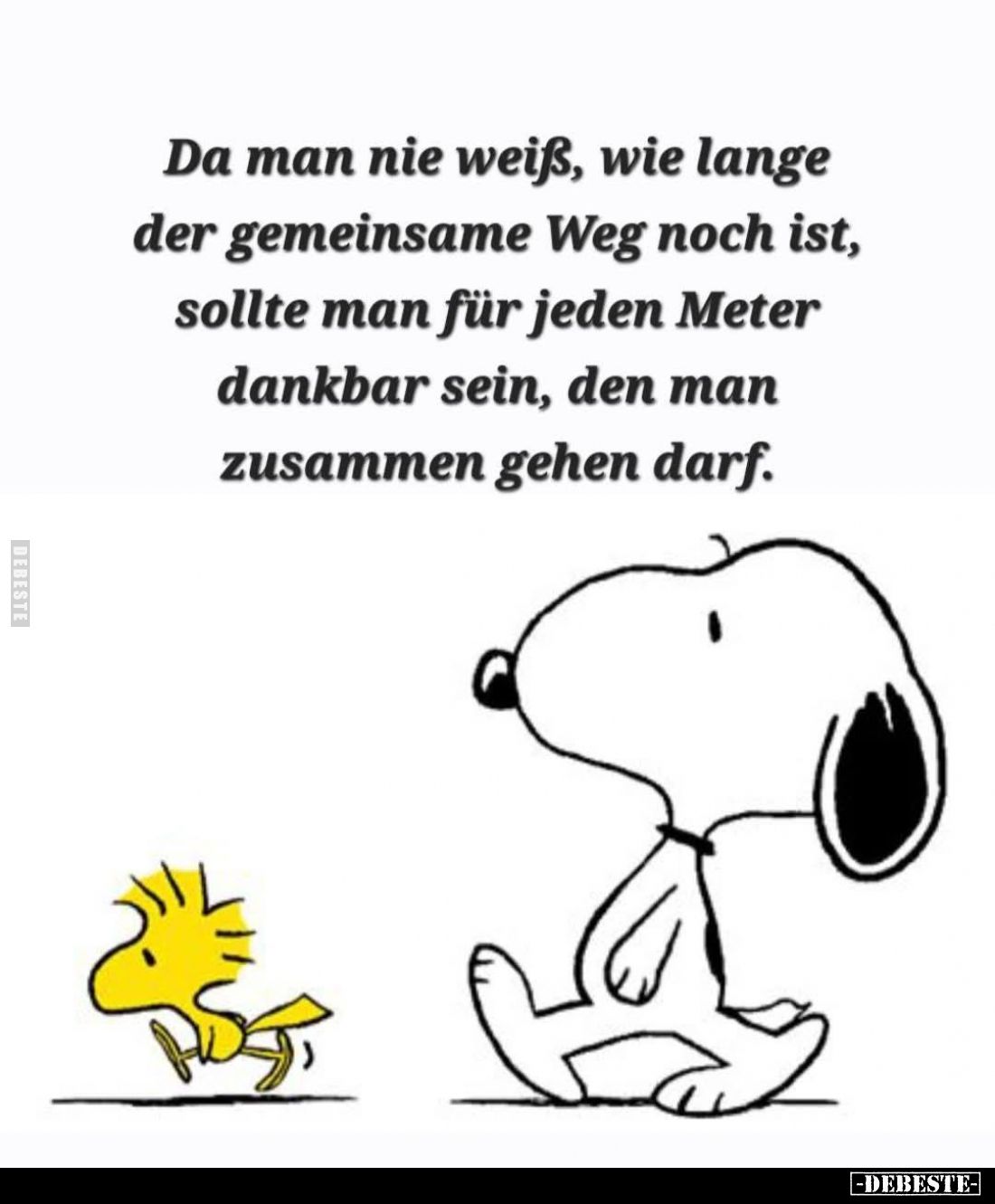 Da man nie weiß, wie lange der gemeinsame Weg... - Lustige Bilder | DEBESTE.de
