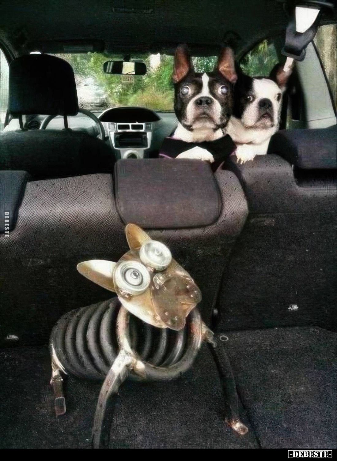  - Lustige Bilder | DEBESTE.de