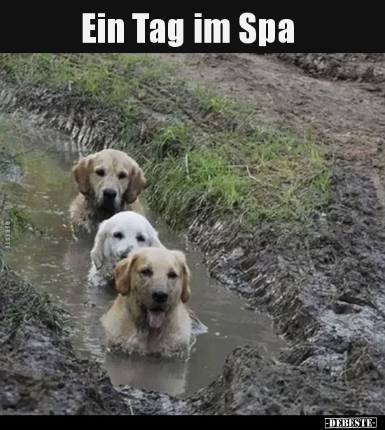 Ein Tag im Spa.. - Lustige Bilder | DEBESTE.de