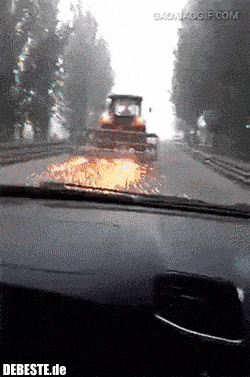  - Lustige Bilder | DEBESTE.de