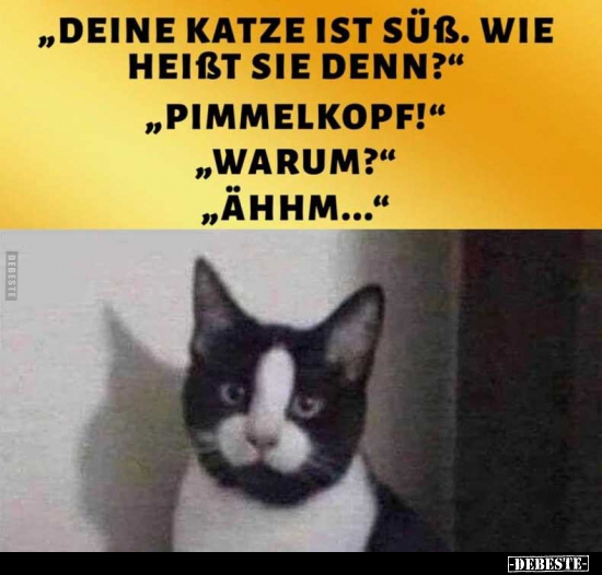 "Deine Katze ist süß. wie heißt sie denn.." - Lustige Bilder | DEBESTE.de