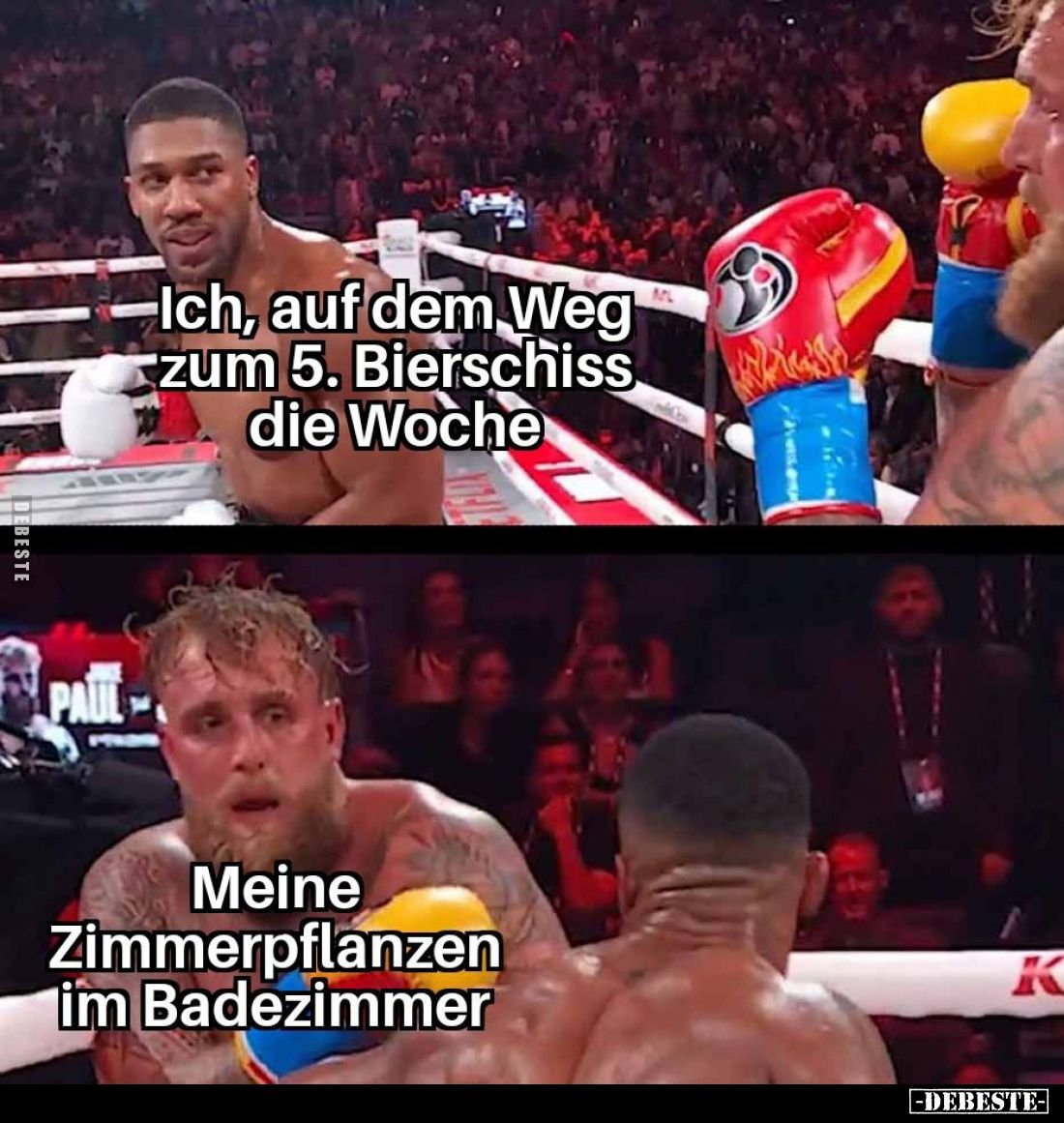 Ich, auf dem Weg zum 5. Bierschiss die Woche.
-
Meine Zimmerpflanzen im Badezimmer.